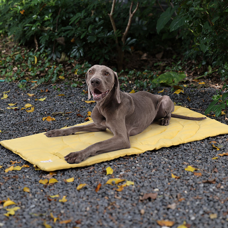Переносной Коврик для домашних – обзор и цена Outdoor Camping Dog Bed